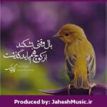 دانلود آهنگ تو دلت پرواز میخواست”ریمیکس احساسی” از مهراد جم و امیر تتلو و هودادکا و گاد پوری